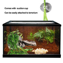 Load image into Gallery viewer, kathson Reptile Vines Plants Flexible Bendable Jungle Climbing Vine Terrarium Plastic Plant Leaves Pet Tank Habitat Decor for Bearded Dragons Lizards Geckos Snakes Hermit Crab Frogs and More Reptiles
