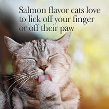 Load image into Gallery viewer, Nutri-Vet Pet-Ease Calming Paw Gel for Cats | Support for Cat Anxiety and Stress | Tasty &amp; Easy to Give | 3 Ounce Tube, Salmon
