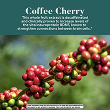 Load image into Gallery viewer, Nootropic Brain Support Supplement - NEURIVA De-Stress Capsules (30 Count in a Bottle), for Everyday Stress Reduction, Relaxation, Focus, Accuracy &amp; Concentration*, L-Theanine, SOD, Coffee Cherry
