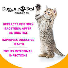 Load image into Gallery viewer, Doggone Best Products Cat Probiotics
