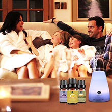 Load image into Gallery viewer, Lagunamoon Premium Essential Oils Set,Top 20 Pure Natural Aromatherapy Oils Lavender Frankincense Peppermint Rose Rosemary Sandalwood
