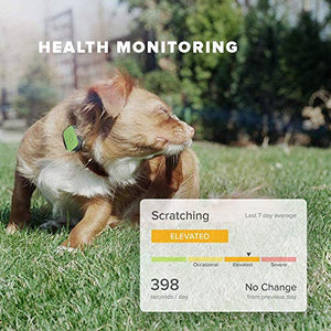Whistle FIT - Pet Health and Fitness Tracker - Nutrition, and Activity Tracking, Waterproof, Monitors Licking, Scratching, Drinking, and Sleeping - Not a GPS, for Dogs