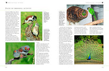 Load image into Gallery viewer, The Complete Practical Guide to Pet and Aviary Birds: How to Keep Pet Birds: with Expert Advice on Buying, Housing, Feeding, Handling, Breeding and Exhibiting

