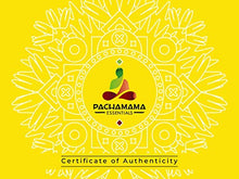 Load image into Gallery viewer, Pachamama Essentials Circle Shungite Pendant Necklace with Certificate of Authenticity, Chakra and Energy Balancing, EMF Protection

