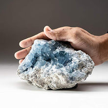 Load image into Gallery viewer, Astro Gallery of Gems Blue Celestite Cluster Geode from Sankoany, Ketsepy Mahajanga, Madagascar (3.8 lbs) - BC67
