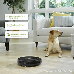 iRobot Roomba 675 Robot Vacuum-Wi-Fi Connectivity, Works with Alexa, Good for Pet Hair, Carpets, Hard Floors, Self-Charging
