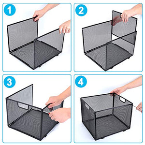 Hanging File Folder Organizer, Mesh Metal File Organizer Box Office Filing Crate Folder Holder Storage Box, Letter Size, Black