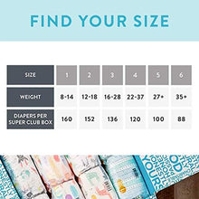 Load image into Gallery viewer, The Honest Company - Super Club Box, Clean Conscious Diapers, Rose Blossom + Tutu Cute, Size 1, 160 Count (Packaging May Vary)
