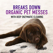 Load image into Gallery viewer, Hoover, White Paws &amp; Claws Deep Cleaning Carpet Shampoo with Stainguard, Concentrated Machine Cleaner Solution for Pets, 64oz Formula, AH30925, White
