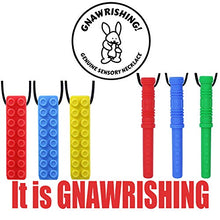 Load image into Gallery viewer, Chew Necklace by GNAWRISHING - 6-Pack - Perfect for Autistic, ADHD, SPD, Oral Motor Children, Kids, Boys, and Girls (Tough, Long-Lasting)
