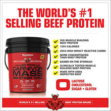 Load image into Gallery viewer, MuscleMeds Carnivor Mass Chocolate Big Steer 1250 Bucket, 15 Lb
