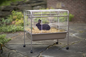 Prevue Hendryx 425 Pet Products Small Animal Cage with Stand, 32-Inch by 21-1/2-Inch by 33-1/2-Inch,Coco/White