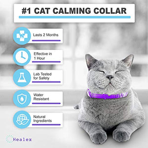 Healex Cat Calming Collar for Cats | Purrfect to Reduce Your Pet’s Anxiety or Aggression | Pheromones for Cats & Cat Anxiety Relief | Cat Calming Products for Kittens | 2-Month Protection, 1 Collar