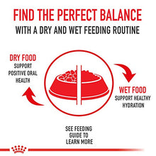 Load image into Gallery viewer, Royal Canin® Feline Health Nutrition™ Indoor 7+ Morsels in Gravy Canned Cat Food, 3 oz (Pack of 24)
