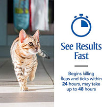 Load image into Gallery viewer, PetArmor Plus for Cats, Flea &amp; Tick Prevention for Cats (Over 1.5 lb), Includes 6 Month Supply of Topical Flea Treatments
