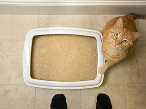 World's Best Cat Litter, Clumping Litter Formula, 28-Pounds