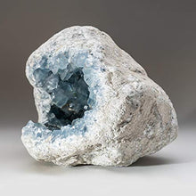 Load image into Gallery viewer, Astro Gallery of Gems Blue Celestite Cluster Geode from Sankoany, Ketsepy Mahajanga, Madagascar (27.6 lbs) - BC79
