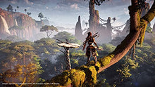 Load image into Gallery viewer, Horizon Zero Dawn Complete Edition Hits - PlayStation 4
