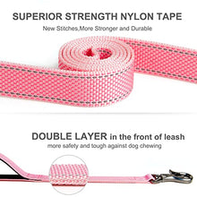 Load image into Gallery viewer, Fida 4 FT Heavy Duty Dog Leash with 2 Comfortable Padded Handles, Traffic Handle &amp; Advanced Easy Snap Hook, Reflective Walking Lead for Large, Medium &amp; Small Breed Dogs, Pink
