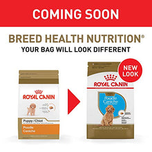 Load image into Gallery viewer, Royal Canin Poodle Puppy Breed Specific Dry Dog Food, 2.5 lb bag
