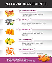 Load image into Gallery viewer, PetHonesty 10 in 1 Multivitamin + Salmon SkinHealth Soft Chew Supplement Bundle - Dog Vitamins, Glucosamine Chondroitin, Probiotics, Omega 3 Fish Oil, and Wild Alaskan Salmon Oil, Cure Itchy Skin.
