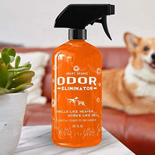 Load image into Gallery viewer, ANGRY ORANGE 24 oz &amp; 1 Gallon (Refill) - Ready-to-Use Citrus Pet Odor Eliminator Pet Spray - Urine Remover and Carpet Deodorizer for Dogs and Cats
