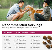 Load image into Gallery viewer, Nutri-Vet Pre and Probiotic Soft Chews for Dogs | Digestive Health Support Dog Probiotics | Tasty Alternative to Dog Probiotic Powder | 120 Soft Chews
