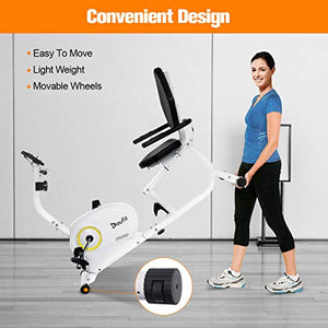 Recumbent Exercise Bike Stationary, Doufit EB-02 Indoor Magnetic Exercise Bicycle for Home Workout with 8 Resistance Levels and Adjustable Seat