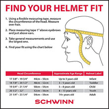 Load image into Gallery viewer, Schwinn Thrasher Bike Helmet, Lightweight Microshell Design, Adult, Carbon
