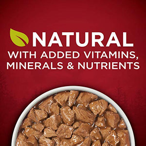 Purina ONE Natural, High Protein Gravy Wet Dog Food, SmartBlend True Instinct Turkey & Game Bird - (12) 13 oz. Cans
