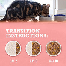 Load image into Gallery viewer, Purina Beyond Grain Free, Natural Gravy Wet Cat Food, Grain Free Salmon &amp; Sweet Potato Recipe - (12) 3 oz. Cans
