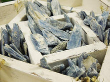 Load image into Gallery viewer, Rock Paradise 1/2 lb Blue Kyanite Blades - Kyanite Fans - Half Pound of Kyanite Blades COA
