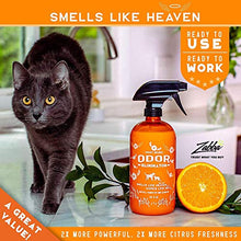 Load image into Gallery viewer, ANGRY ORANGE 24 oz Ready-to-Use Citrus Pet Odor Eliminator Pet Spray - Urine Remover and Carpet Deodorizer for Dogs and Cats
