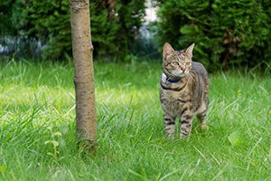 Cat Tracker RF Finder Longest Range up to 1600 ft lightest pet Safety Tracking Device only 0.28oz Small Pets Dog Girafus Pro-Track-tor Pet Tracker