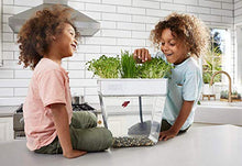 Load image into Gallery viewer, Back to the Roots Water Garden, Self-Cleaning Fish Tank That Grows Food, Mini Aquaponic Ecosystem (Great Gardening Gift &amp; Family Project), 3 Gallons

