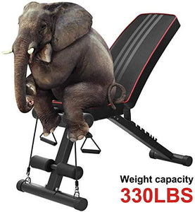Yoleo Adjustable Weight Bench - Utility Weight Benches for Full Body Workout, Foldable Flat/Incline/Decline FID Bench Press for Home Gym