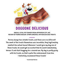 Load image into Gallery viewer, Purina Beggin' Strips Real Meat Dog Treats, Original With Bacon - 48 oz. Pouch
