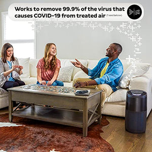 Instant Air Purifier, Helps remove 99.9% of viruses (COVID-19), bacteria, allergens, smoke; advanced 3-in-1 HEPA-13 filtration with plasma ion technology, Large Room (AP300), Charcoal