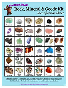 Dancing Bear Rock & Mineral Collection Activity Kit (200+Pcs) with Geodes, Shark Teeth Fossils, Arrowheads, Crystals, Gemstones for Kids, Rock Book, Treasure Hunt ID Sheet, STEM Science Education