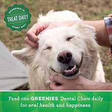 Load image into Gallery viewer, GREENIES Original Regular Natural Dog Dental Care Chews Oral Health Dog Treats, 36 oz. Pack (36 Treats)
