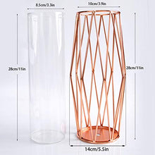 Load image into Gallery viewer, Gelible Geometric Glass Flower Vase with Metal Holder, Crystal Clear Transparent Planter Flowers Vase,Handcrafted Plating Metal Vase,Clear Vase Decor Home Office Wedding Party and Holiday Celebrate
