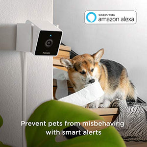 Petcube Cam Pet Monitoring Camera with Built-in Vet Chat for Cats & Dogs, Security Camera with 1080p HD Video, Night Vision, Two-Way Audio, Magnet Mounting for Entire Home Surveillance