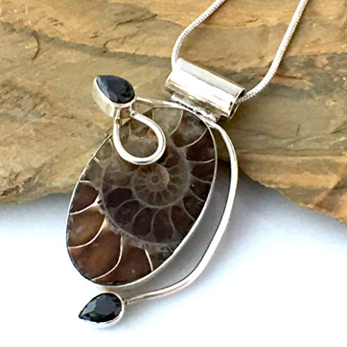 Authentic Well-Preserved AMMONITE Fossil and Black Onyx Gemstones, 925 Sterling Silver, Designer Pendant (1.5