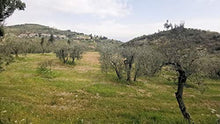Load image into Gallery viewer, Shop handmade Italian leather goods LIVE in Tuscany

