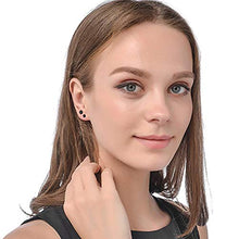 Load image into Gallery viewer, Tiny Dot Stud Earrings Disc Stainless Steel Earings Everyday Wear Silver and Black
