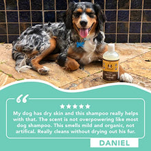 Load image into Gallery viewer, Natural Dog Company Sensitive Skin Shampoo (12 oz) | Aloe Vera and Oatmeal Dog Shampoo for Itchy Skin | Natural and Hypoallergenic | Non-Toxic and Paraben-Free | Hydrates, Soothes and Heals Irritation
