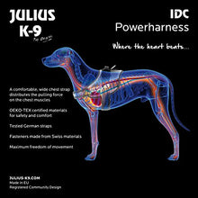 Load image into Gallery viewer, Julius-K9 16IDC-FARNE-B1 IDC Powerharness, Dog Harness, Size Baby 1, Jeans with Neon Edge
