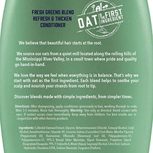 Load image into Gallery viewer, Aveeno, Fresh Greens Blend Sulfate-Free Conditioner with Rosemary, Peppermint &amp; Cucumber to Thicken &amp; Nourish, Clarifying &amp; Volumizing for Thin or Fine Hair, Paraben-Free, 12oz
