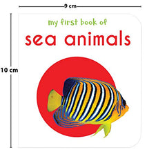 Load image into Gallery viewer, My First Library : Boxset of 10 Board Books for Kids
