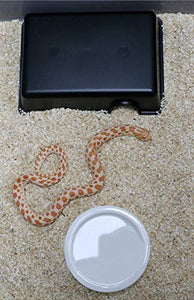 OMEM Reptile Hideout Box, Hideout Caves, Small Animal Hideaway (M)